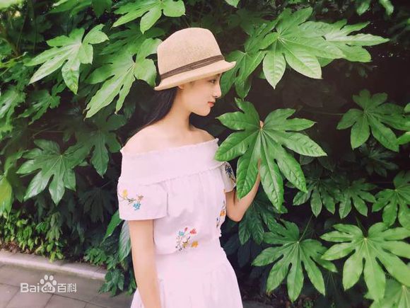 赵圆瑗2016年照片壁纸壁纸