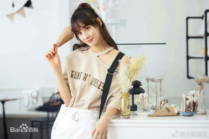 赵圆瑗最优质2017年相册