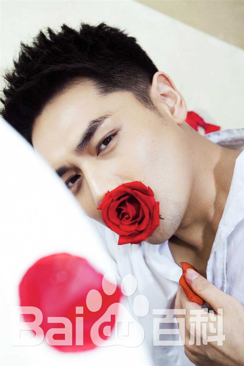 霍政谚最优质集