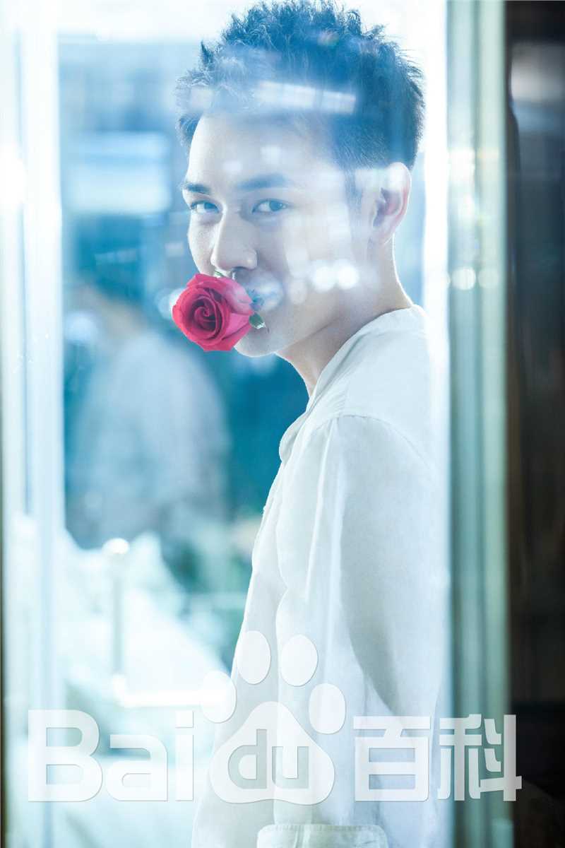 霍政谚最优质集