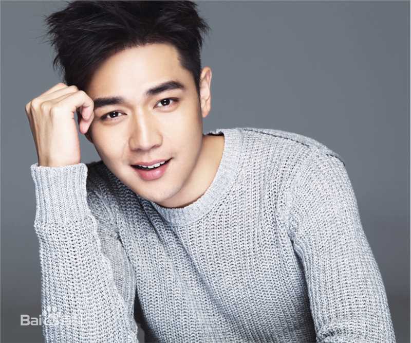 霍政谚最优质集