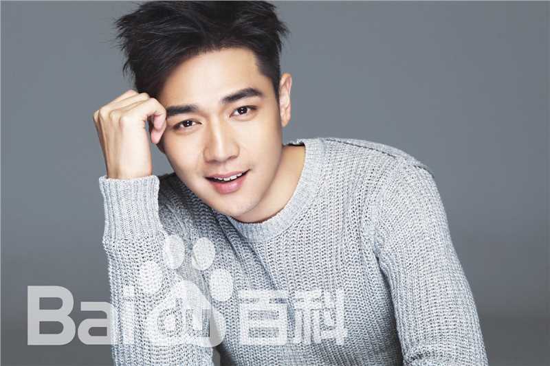 霍政谚最优质集