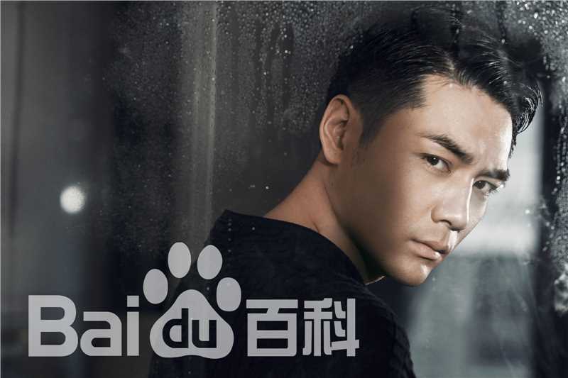 霍政谚最优质集