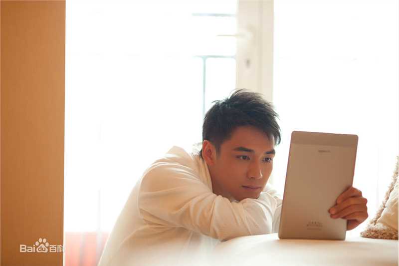 霍政谚最优质集