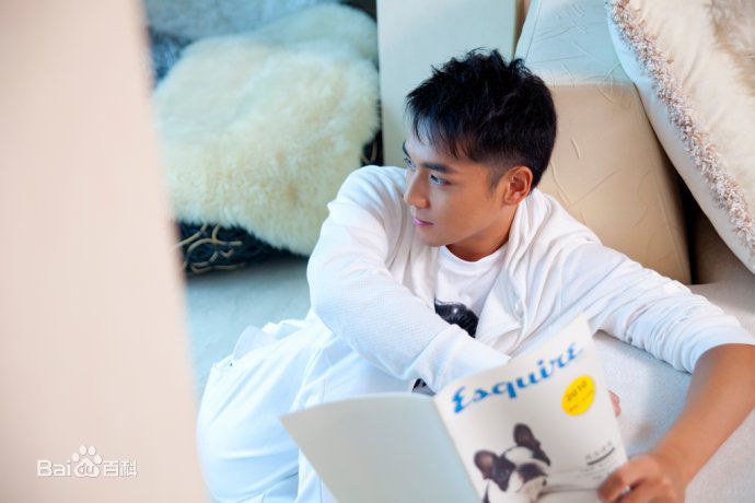 霍政谚最优质集