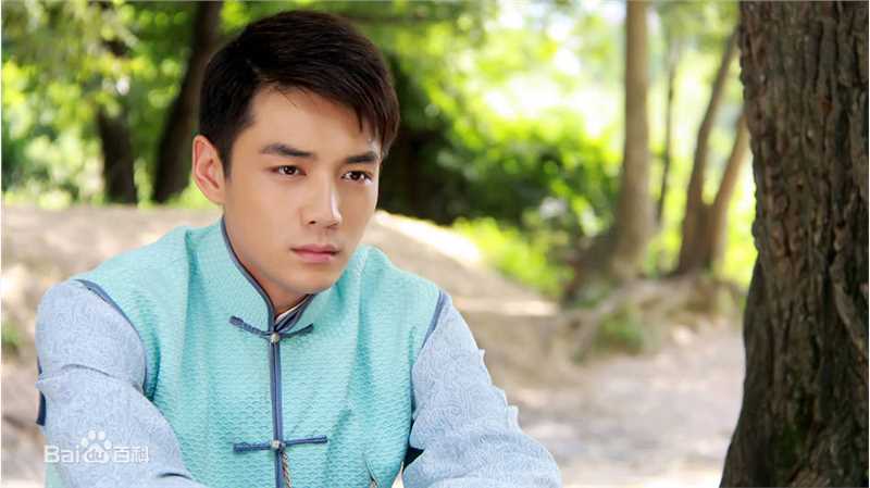 高清霍政谚精彩图册