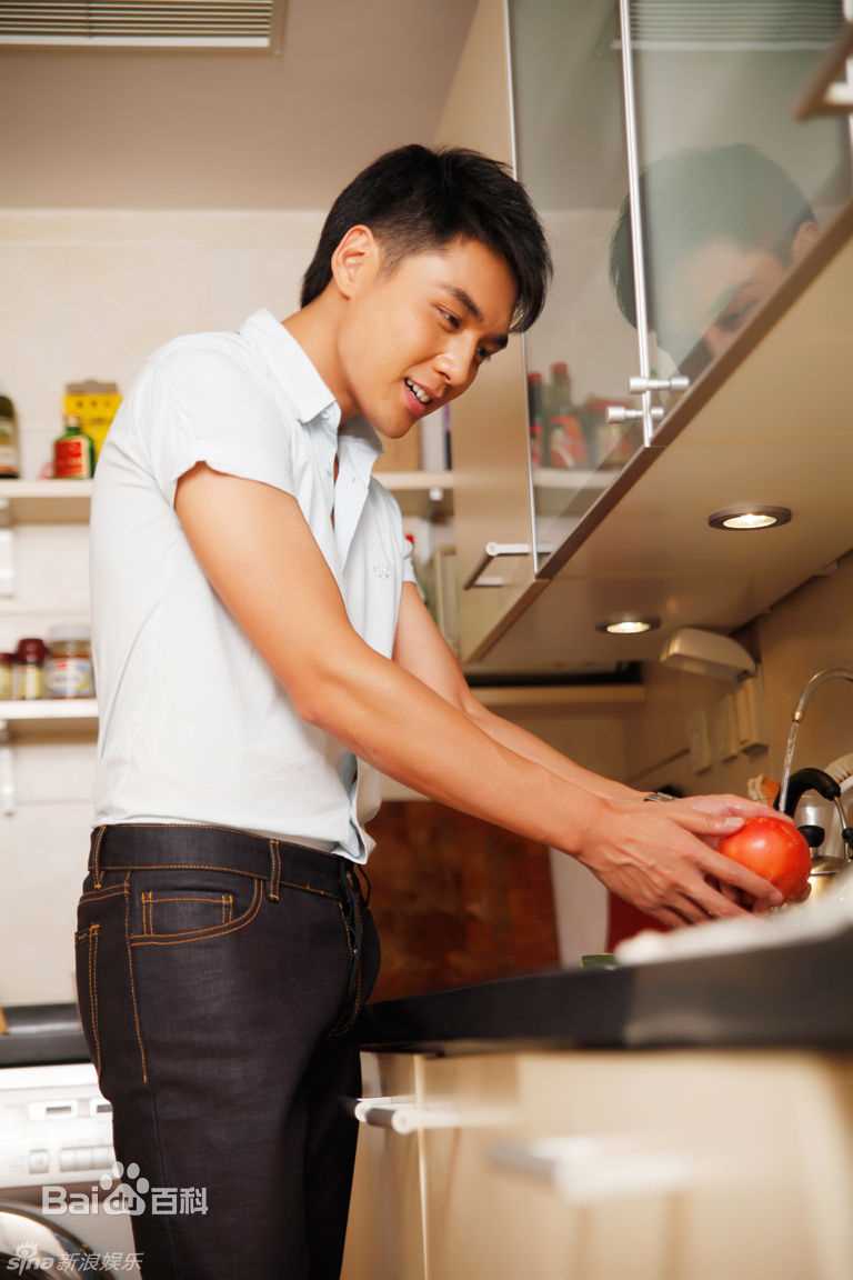 高清霍政谚精彩图册