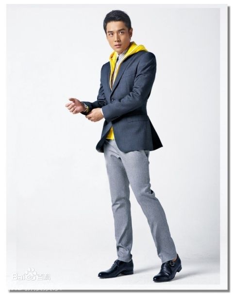 高清霍政谚精彩图册