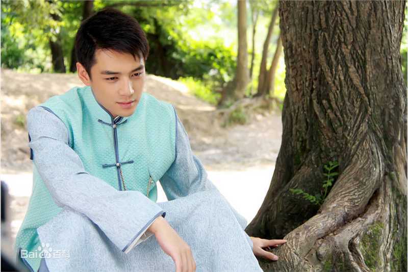 高清霍政谚精彩图册