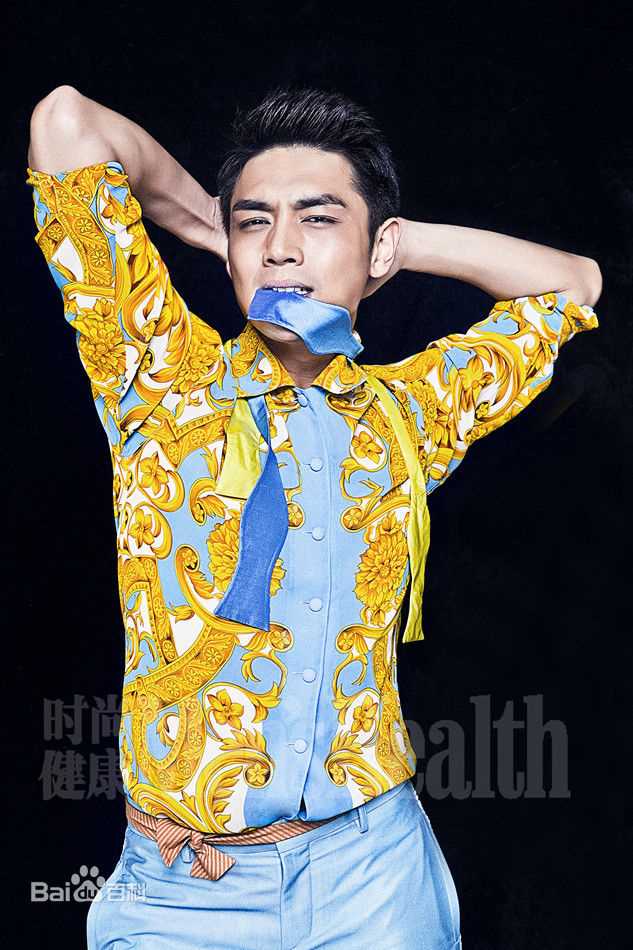 高清霍政谚精彩图册