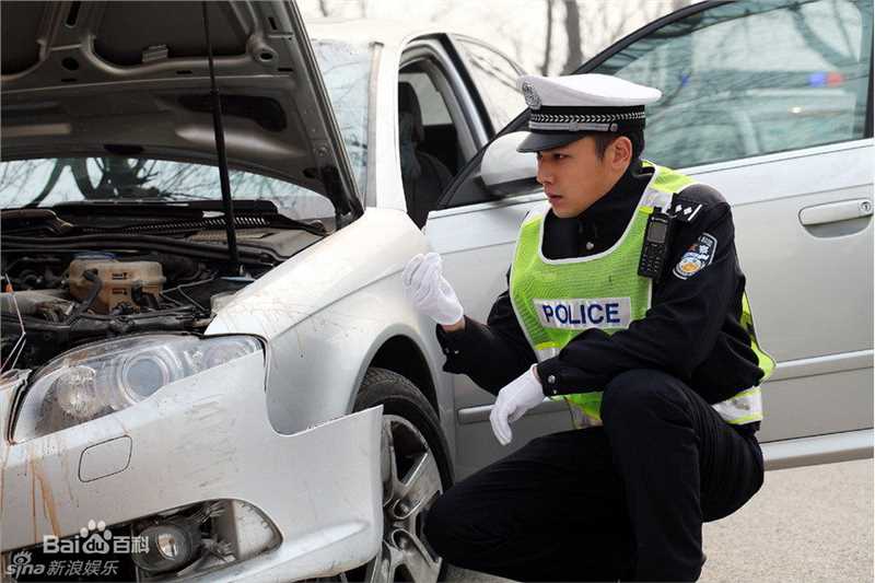 霍政谚精彩图册