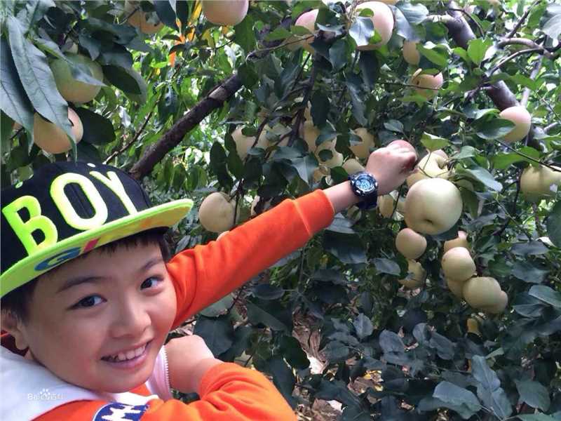 孙天宇(sty)童星生活照图片图册