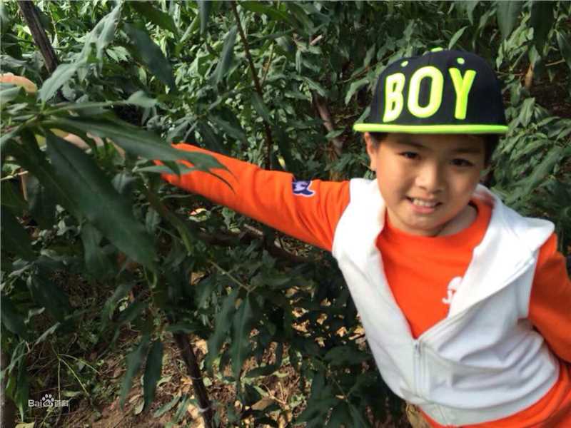 孙天宇(sty)童星生活照图片图册