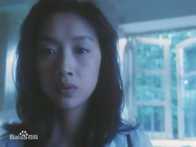 吴倩莲(Jacklyn Wu， WuQien-Lien或NgSin-Lin)影视作品（1999年-2006年）前后照片