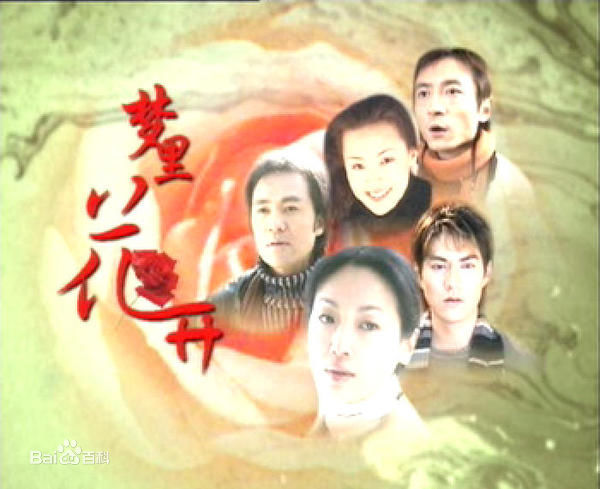 吴倩莲(Jacklyn Wu， WuQien-Lien或NgSin-Lin)2003《梦里花开》高清剧照