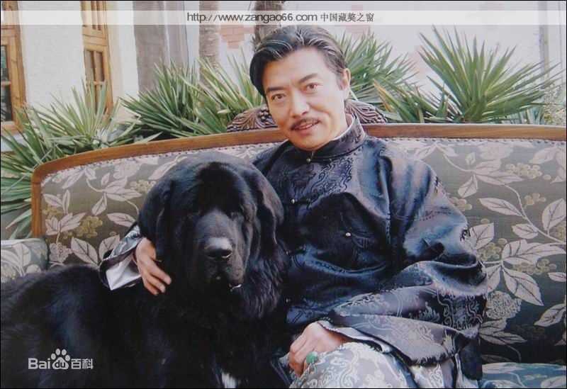 精选张佩华(Zhang Pei Hua)