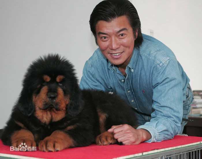 精选张佩华(Zhang Pei Hua)