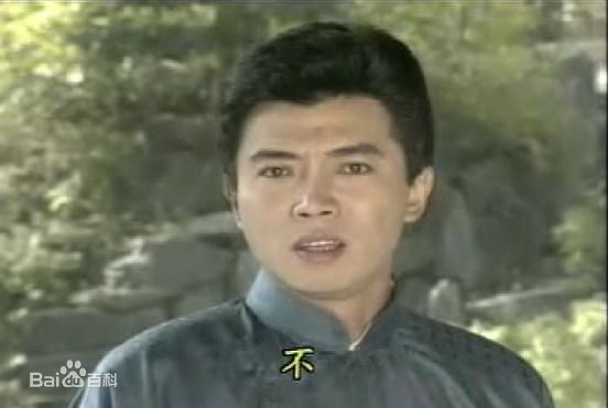 张佩华(Zhang Pei Hua)电视最优质剧照