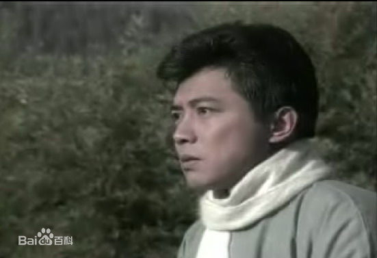 张佩华(Zhang Pei Hua)电视最优质剧照