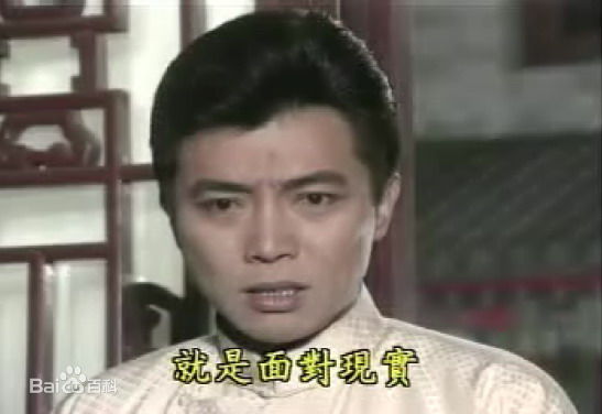 张佩华(Zhang Pei Hua)电视最优质剧照