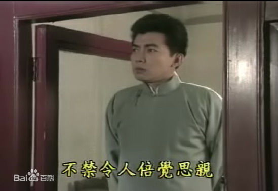 张佩华(Zhang Pei Hua)电视最优质剧照