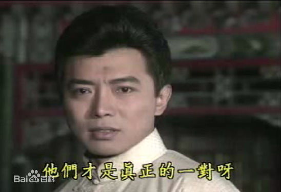 张佩华(Zhang Pei Hua)电视最优质剧照