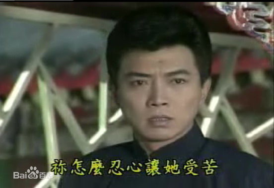 张佩华(Zhang Pei Hua)电视最优质剧照