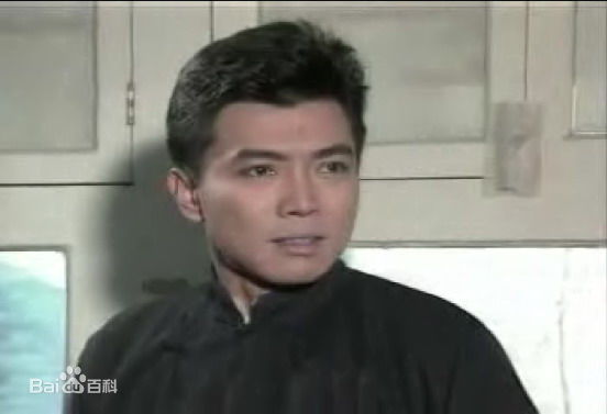 张佩华(Zhang Pei Hua)电视最优质剧照