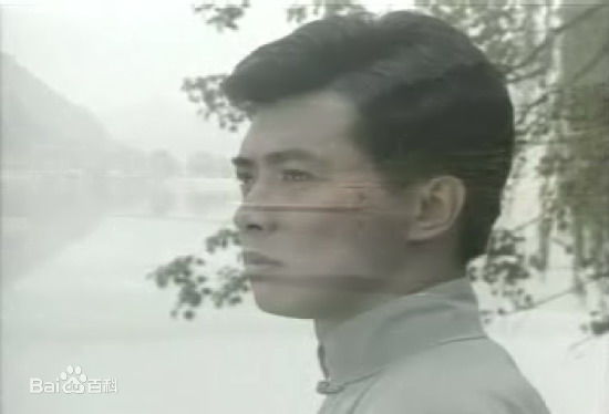 张佩华(Zhang Pei Hua)电视最优质剧照