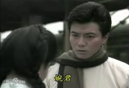 张佩华(Zhang Pei Hua)电视最优质剧照