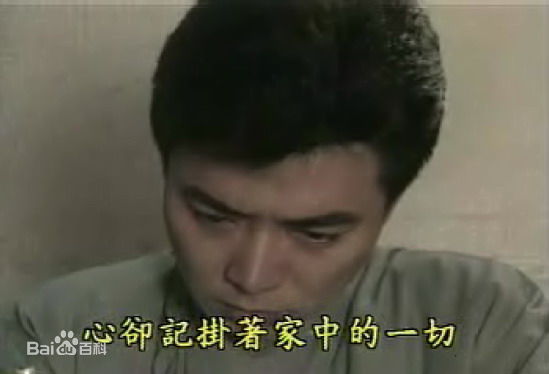 张佩华(Zhang Pei Hua)电视最优质剧照