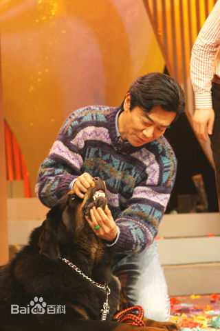 张佩华(Zhang Pei Hua)生活照壁纸壁纸