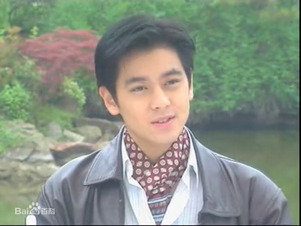 林志颖(Jimmy Lin)参演电视作品（1999-2004）前后照片