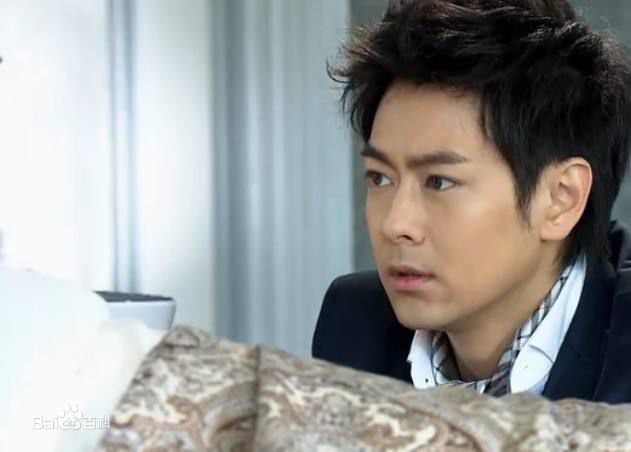 林志颖(Jimmy Lin)参演电视作品（2005-2010）壁纸壁纸