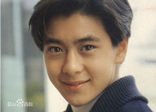 林志颖(Jimmy Lin)参演电影作品素颜照相册
