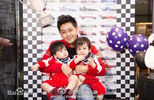 林志颖(Jimmy Lin)二胎（Jenson和Kyson）壁纸壁纸