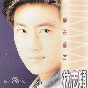 最新林志颖(Jimmy Lin)性感图片