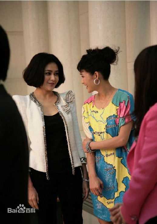 关之琳(Rosamund Kwan)法律援助形象大使前后照片