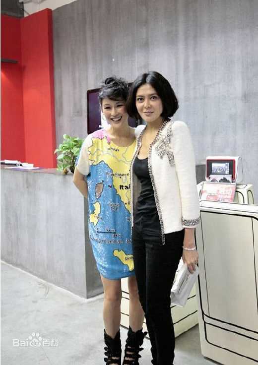 关之琳(Rosamund Kwan)法律援助形象大使前后照片