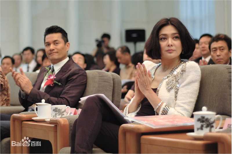 关之琳(Rosamund Kwan)法律援助形象大使前后照片