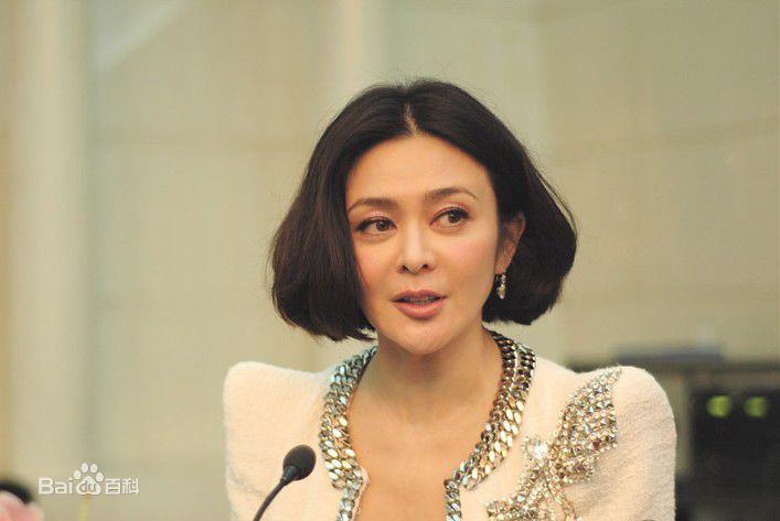 关之琳(Rosamund Kwan)法律援助形象大使前后照片