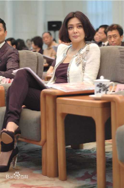 关之琳(Rosamund Kwan)法律援助形象大使前后照片