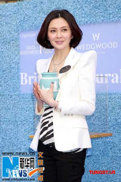 最新关之琳(Rosamund Kwan)精彩图册