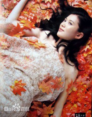 袁咏仪(Anita Yuen)广告照性感图片图集