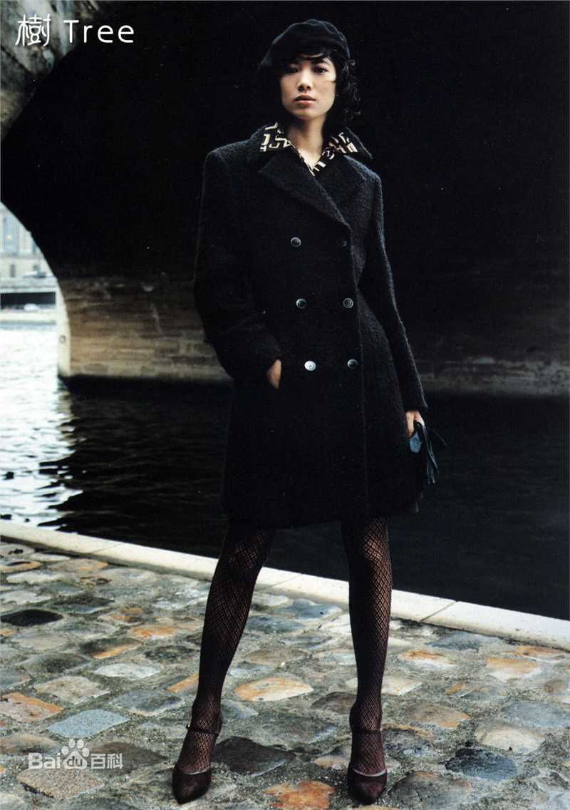 袁咏仪(Anita Yuen)广告照性感图片图集