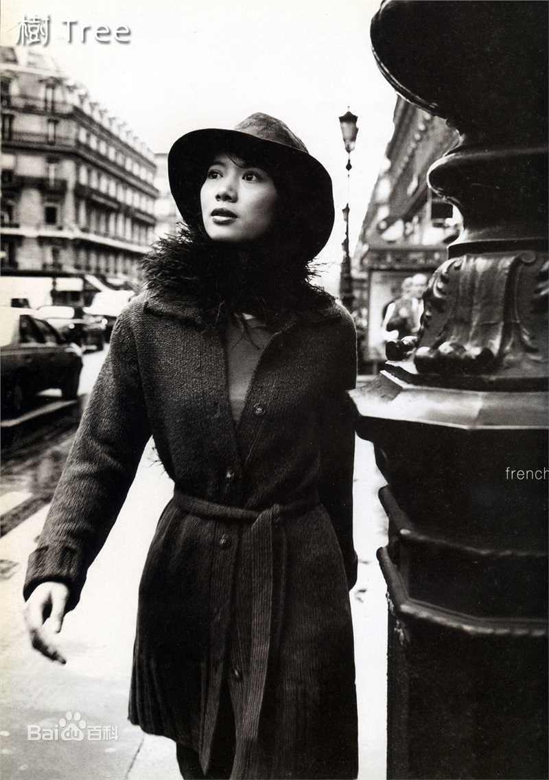 袁咏仪(Anita Yuen)广告照性感图片图集