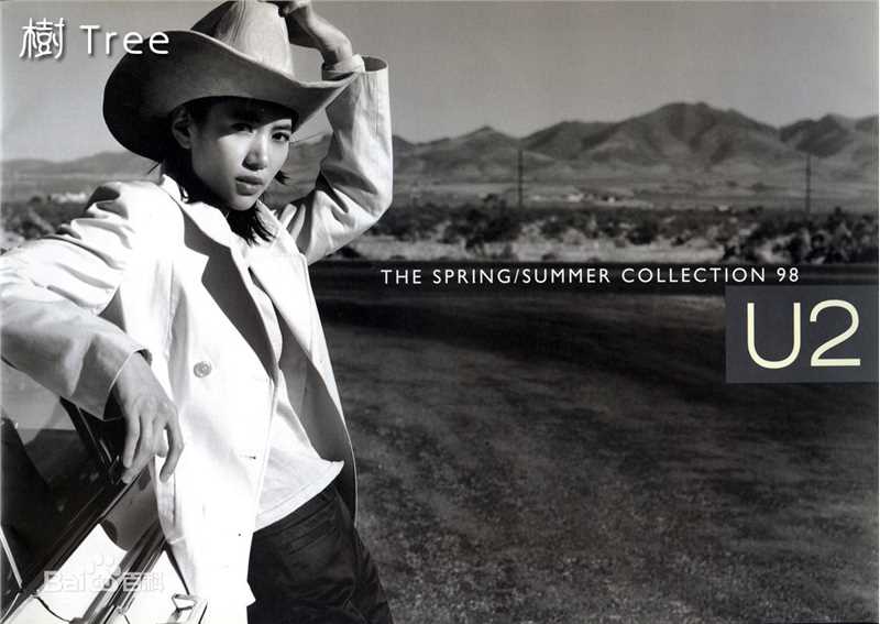 袁咏仪(Anita Yuen)广告照性感图片图集