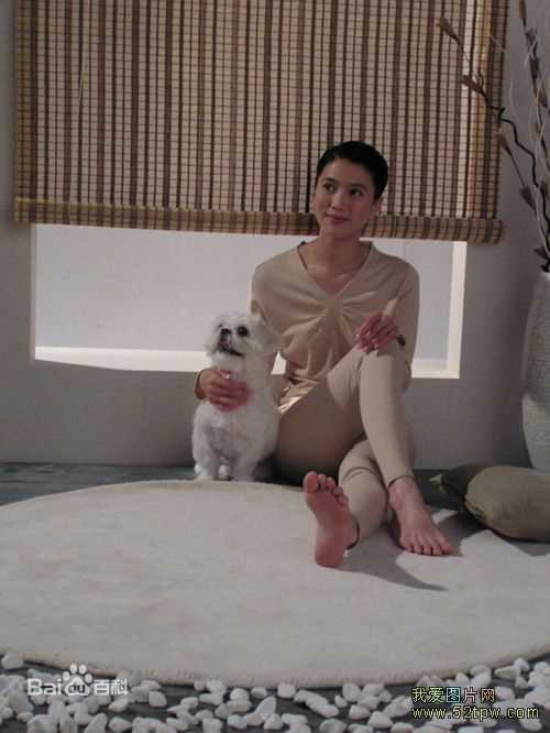 袁咏仪(Anita Yuen)广告照性感图片图集