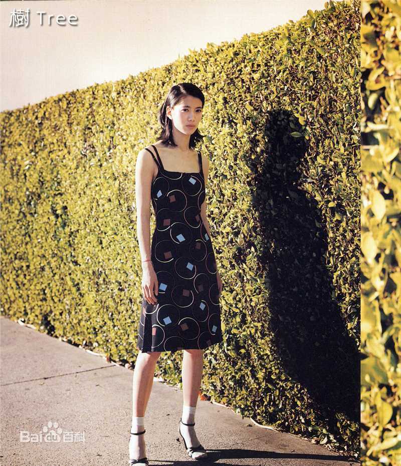 袁咏仪(Anita Yuen)广告照性感图片图集