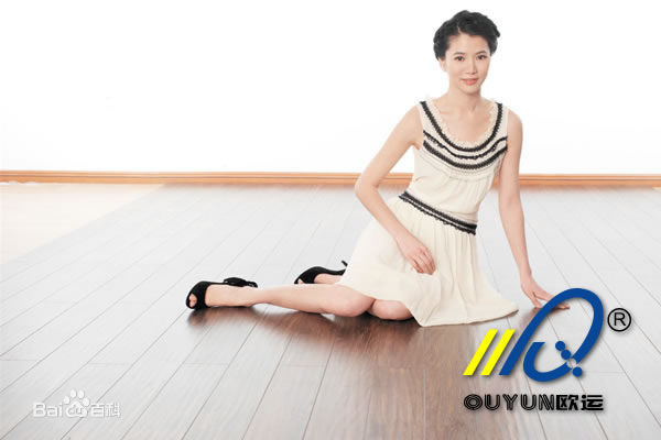 袁咏仪(Anita Yuen)广告照性感图片图集